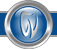 IVWisdomTexas logo